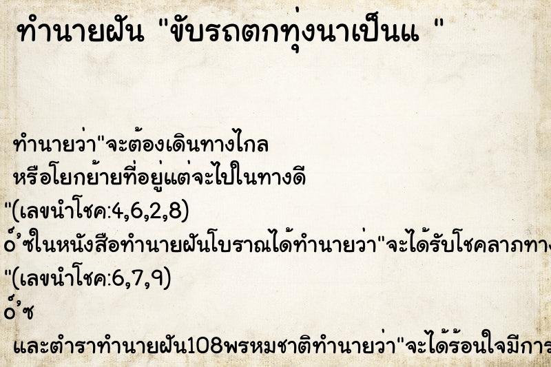 ทำนายฝัน ขับรถตกทุ่งนาเป็นแ 